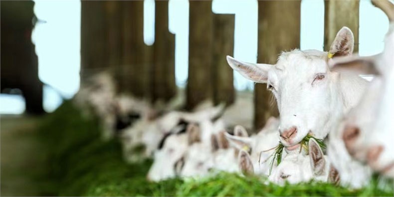 质量追溯 质量追溯